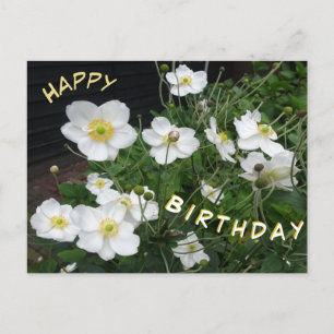 Witte Japanse Anemonen Verjaardagsansichtkaart Briefkaart