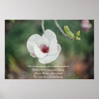 Witte Japanse Magnolia Flower met Old Hymn Poster