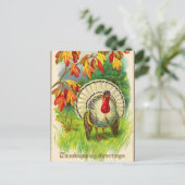  witte kalkoen in gras briefkaart (Staand voorkant)