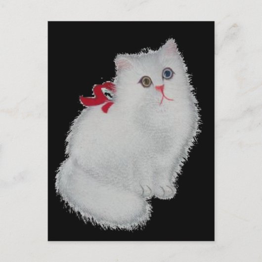 Witte kat briefkaart (Voorkant)