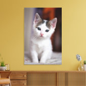 Witte Kat Canvas Afdruk (Insitu (Woonkamer))