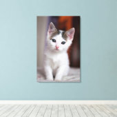 Witte Kat Canvas Afdruk (Insitu (Houten vloer))