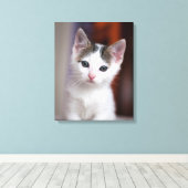 Witte Kat Canvas Afdruk (Insitu (Houten vloer))