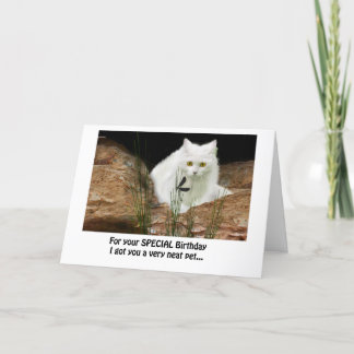 Witte kat en libel bijgesneden, verjaardagstekst . kaart