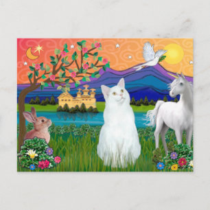 Witte Kat - Fantasieland Briefkaart