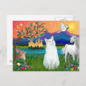 Witte kat - Fantasy Land Briefkaart (Voorkant / Achterkant)
