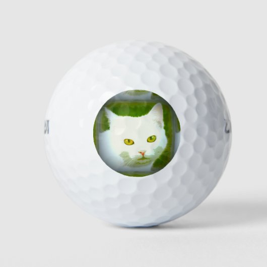 witte kat golfballen (Voorkant)