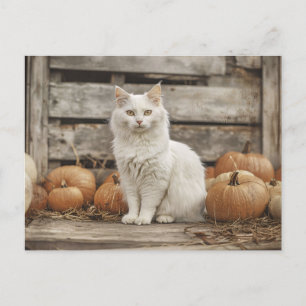 Witte Kat  Herfst Pompoenen Briefkaart