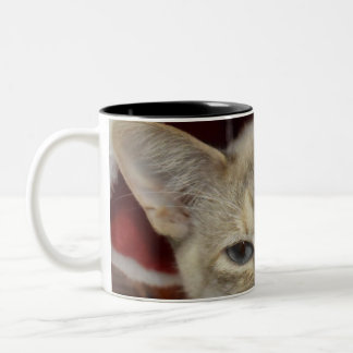 Witte kat in rode kersthoed koffiemok tweekleurige koffiemok