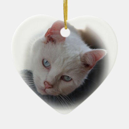 Witte kat keramisch ornament (Voorkant)
