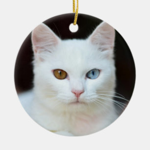 Witte kat keramisch ornament