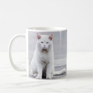 Witte kat met één blauw, één amberkleurige ogen koffiemok