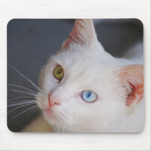 Witte kat met één groen oog en één blauw oog muismat