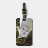 Witte kat met gele ogen ogen bagagelabel (Voorkant verticaal)