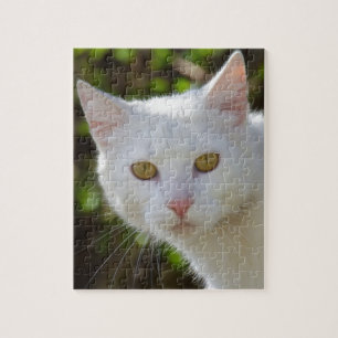 Witte kat met gele ogen ogen legpuzzel