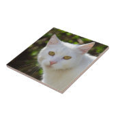 Witte kat met gele ogen ogen tegeltje (Zijkant)