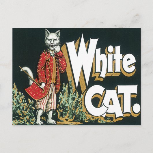  witte kat met label voor sigaar briefkaart (Voorkant)