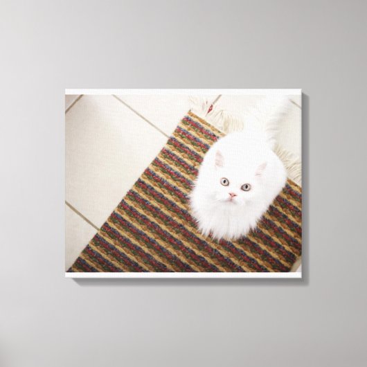 Witte kat op mat canvas afdruk (Voorkant)