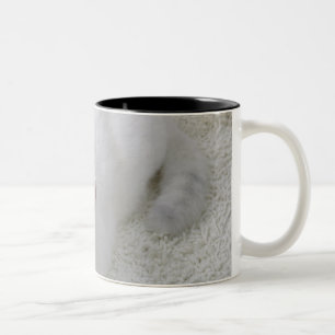 Witte kat op tweekleurige koffiemok