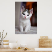 Witte Kat Poster (Keuken)