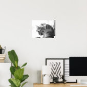  witte kat poster (Thuiskantoor)