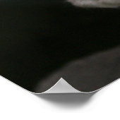 Witte kat poster (Hoek)