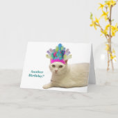 Witte kat verjaardag kaart (Gele Bloem)