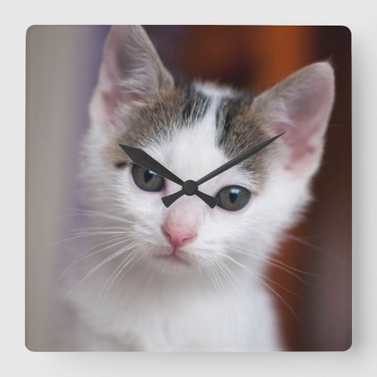 Witte Kat Vierkante Klok (Voorkant)