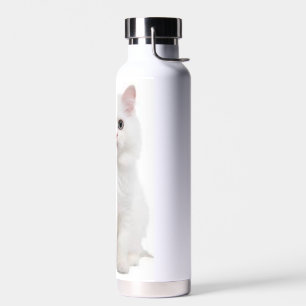 Witte kat waterfles