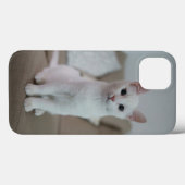 Witte kat | Zazzle_Growshop. Case-Mate iPhone Case (Achterkant (horizontaal))