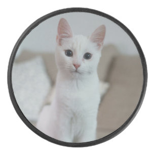 Witte kat Zazzle_Growshop. Hockey Puck