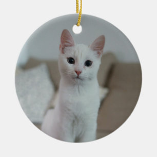 Witte kat Zazzle_Growshop. Keramisch Ornament