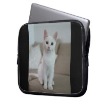 Witte kat | Zazzle_Growshop.