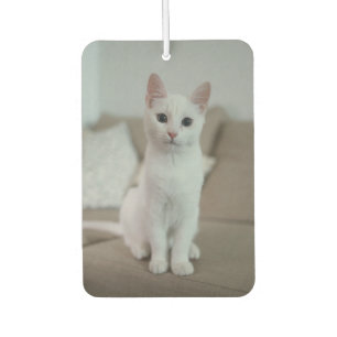 Witte kat Zazzle_Growshop. Luchtverfrisser