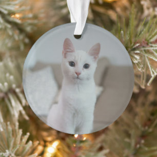 Witte kat Zazzle_Growshop. Ornament