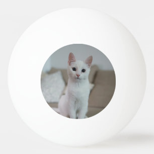 Witte kat   Zazzle_Growshop. Pingpongballen