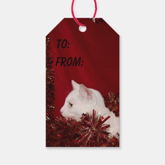 Witte katje kerst cadeaulabel (Voorkant)