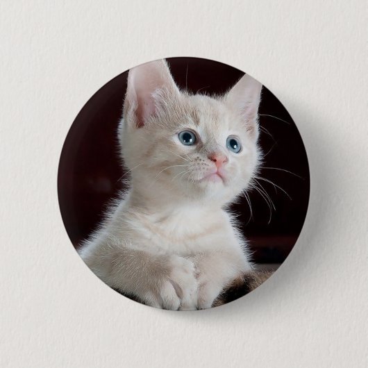 Witte katje ronde button 5,7 cm (Voorkant)