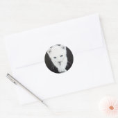 Witte katjes Teken Ronde Sticker (Envelop)