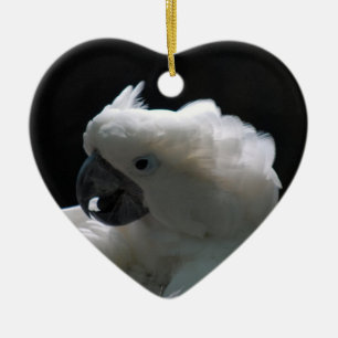 Witte katoenvogelsierplanten keramisch ornament