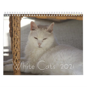 Witte katten 2021 kalender