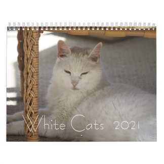 Witte katten 2021 kalender