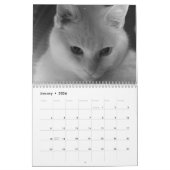 Witte katten 2021 kalender (Jan 2026)