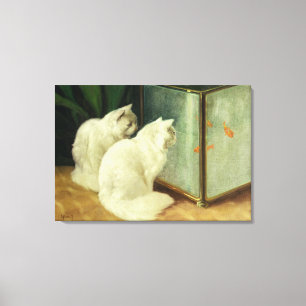 Witte katten die Goldfish bekijken Canvas Afdruk