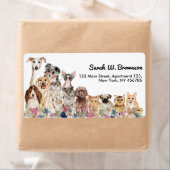 Witte Katten Honden Huisdier Dierenarts Etiket (Insitu)