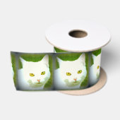 Witte kattenkoppen lint (Spoel)