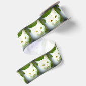 Witte kattenkoppen lint (Achterkant)
