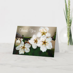 Witte Kersenbloesem Bloemen Dank Je Bedankkaart