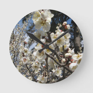 Witte kersenbloesem / Sakura / サクラ（桜） Ronde Klok