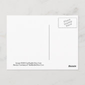 Witte Kerst Martini Recept Briefkaart (Achterkant)